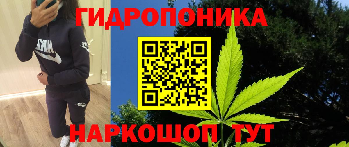 Истра  Бошки Шишки сатива  Бошки Шишки сатива  Вход с VPN 